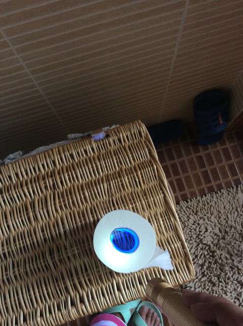  寶媽買了紫光手電，衣服上好多熒光劑，看的心慌害怕