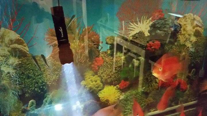 手電PT10，為戰(zhàn)術(shù)而生